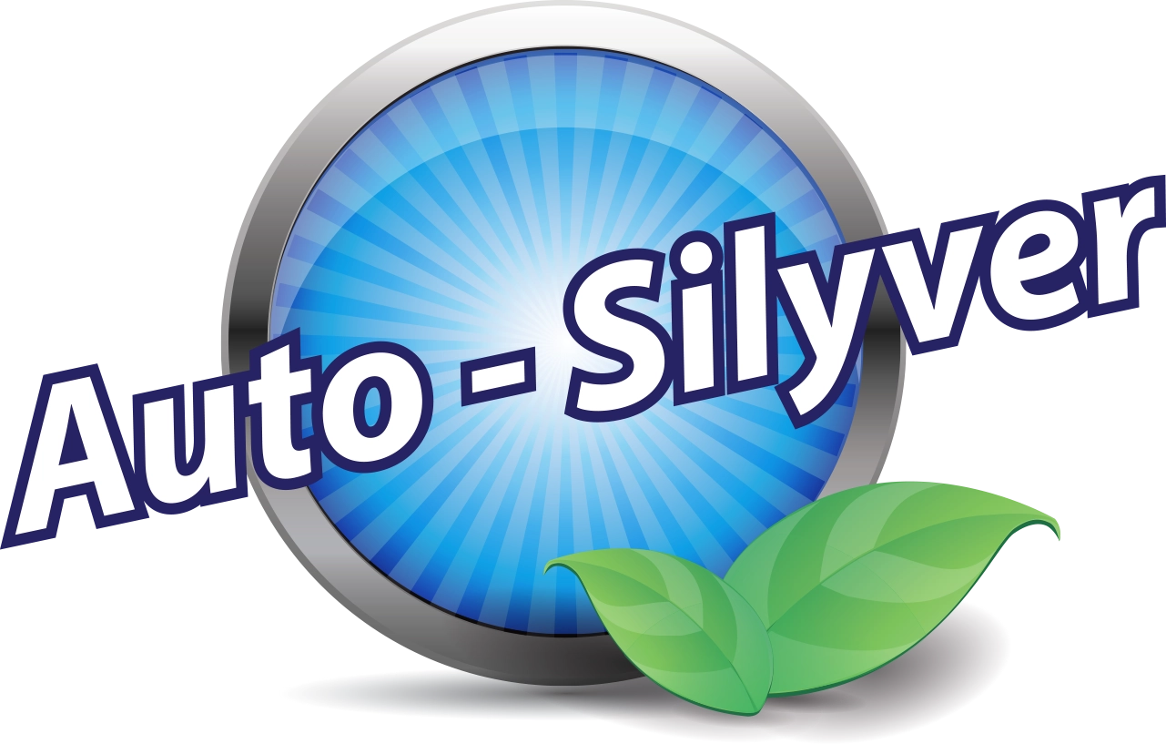 AUTO-SILYVER